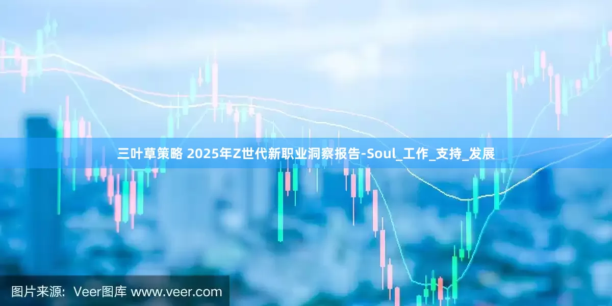 三叶草策略 2025年Z世代新职业洞察报告-Soul_工作_支持_发展
