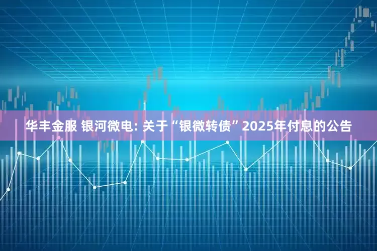 华丰金服 银河微电: 关于“银微转债”2025年付息的公告