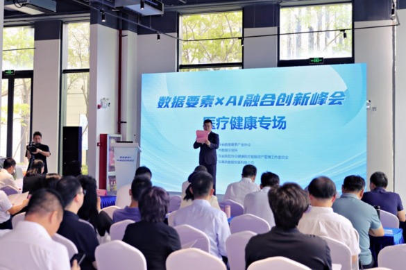 抓牛网 “数据要素×AI融合创新峰会”开幕，首场聚焦医疗健康领域
